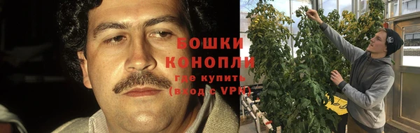 индика Кукмор