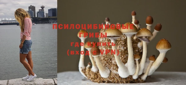 индика Кукмор