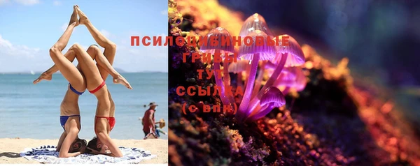 мдпв Куйбышев