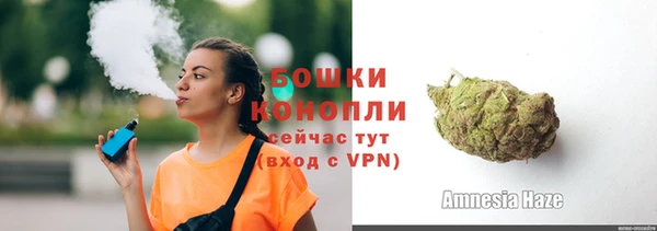 индика Кукмор