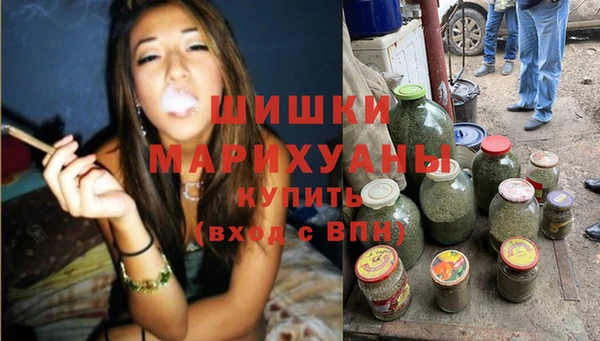 индика Кукмор