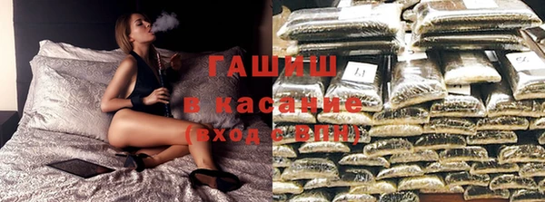 индика Кукмор