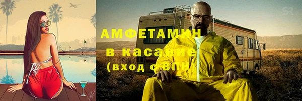 индика Кукмор