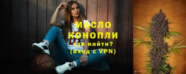 индика Кукмор