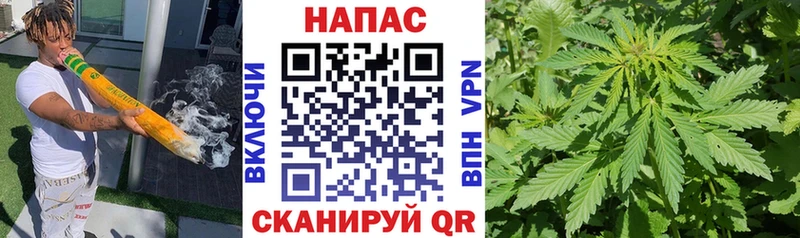 Купить где  Шуя  Бошки Шишки конопля 